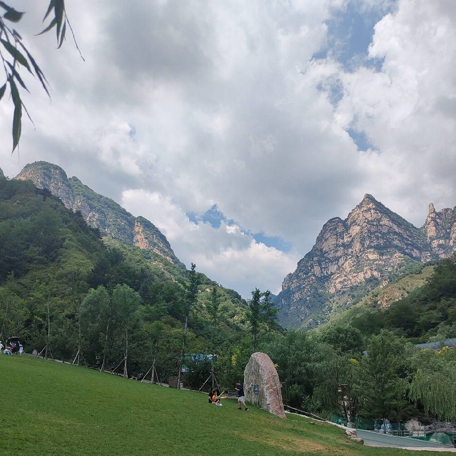 丛林刺客