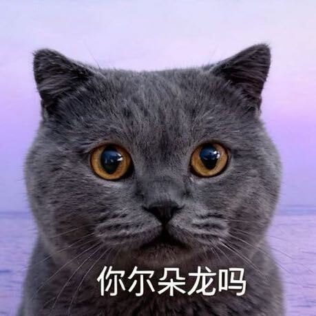 丁特玲娜