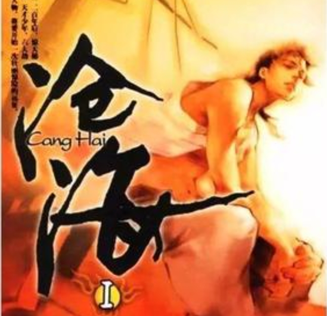 《沧海》小说封面
