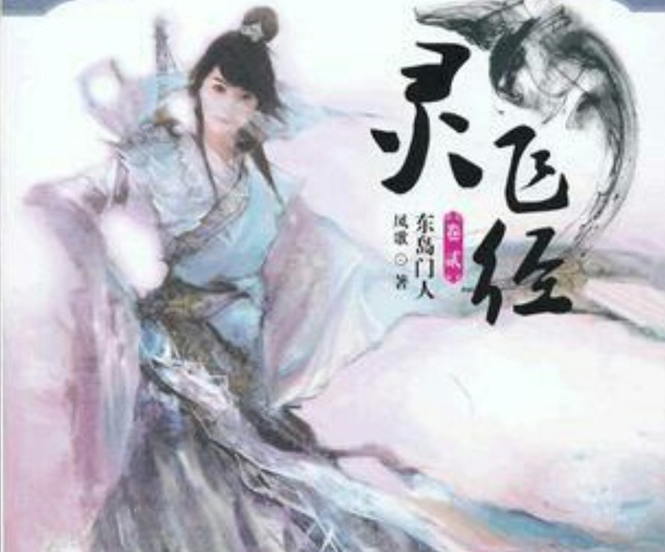 《灵飞经》小说封面